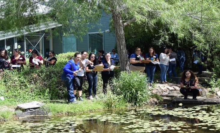 Teachers at workshop