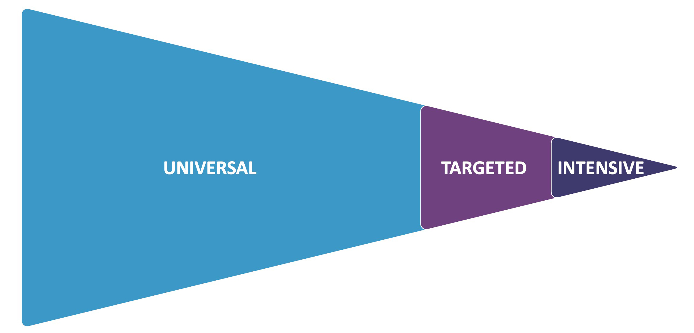 mtss-overview.jpg