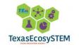 Texas EcosySTEM Logo (Small Version)