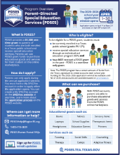 Screenshot of the cover of the overview one-pager