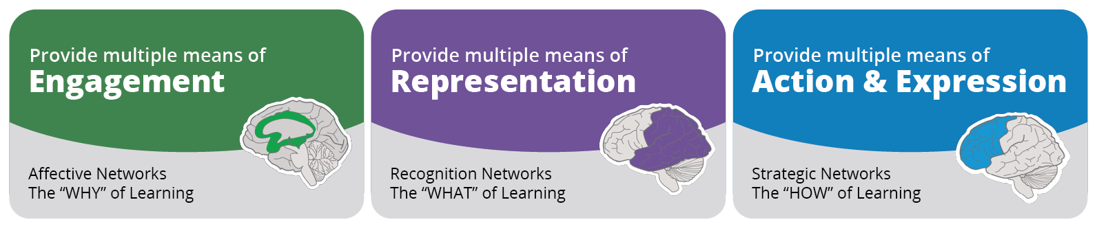 UDL Guidelines - engagement, representation, and action & expression