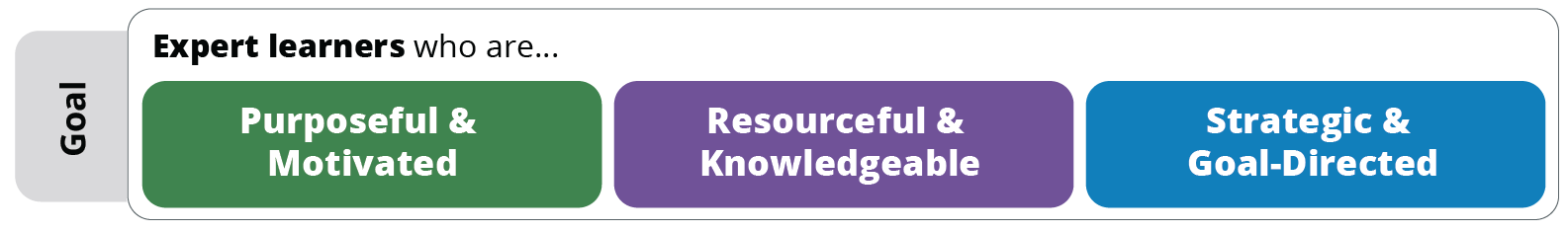 udl-graphics-goal.png